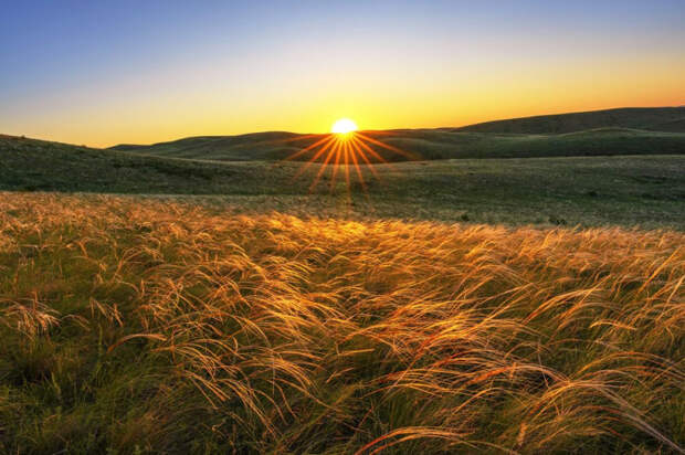 1000005133.jpg 1000005133.jpg