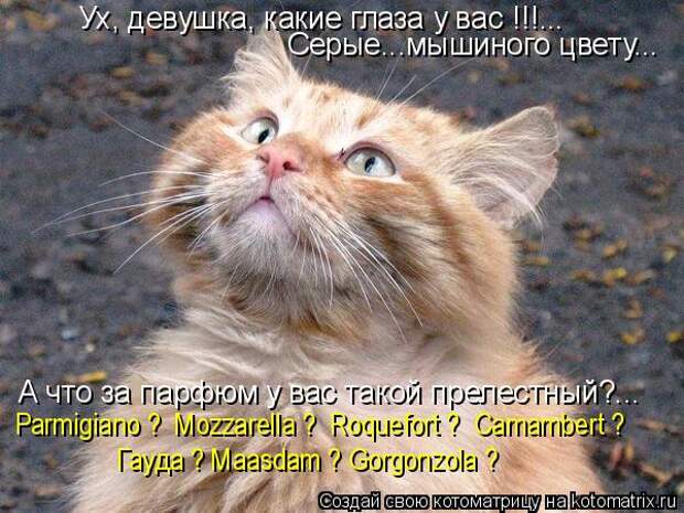 Ух, девушка, какие глаза у вас !!!... Серые...мышиного цвету... А что за парфюм у вас такой прелестный?... Гауда ? Maasdam ? Gorgonzola ? Parmigiano ?  Mozzarella ?  Roquefort ?  Camambert ?