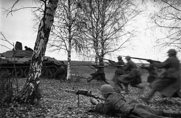 Soviet Soldiers Advance Through Birch Trees