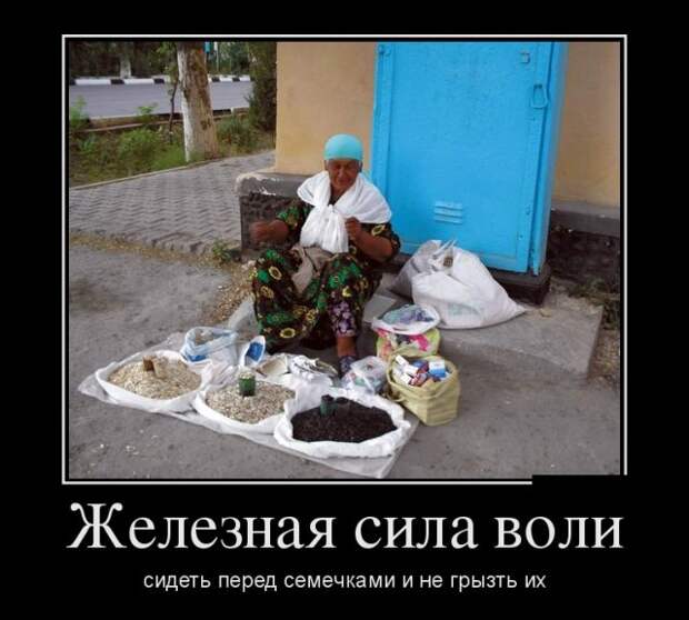 Демотиваторы (30 фото)