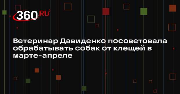 Ветеринар Давиденко посоветовала обрабатывать собак от клещей в марте-апреле