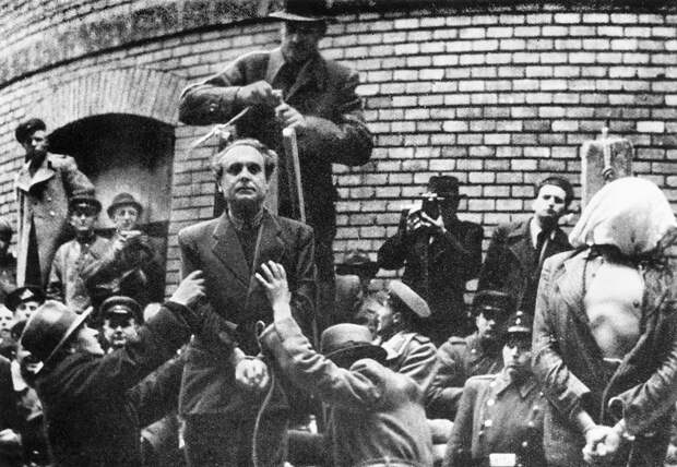 Почему венгры сражались против СССР во Второй мировой (ФОТО)