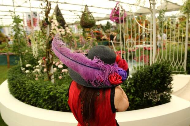 Выставка цветов «Chelsea Flower Show 2014»