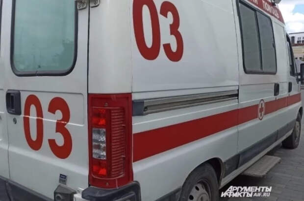 Двое пациентов с оспой обезьян выписаны из больницы Подмосковья