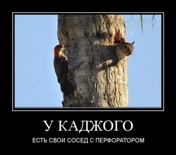 original(3)