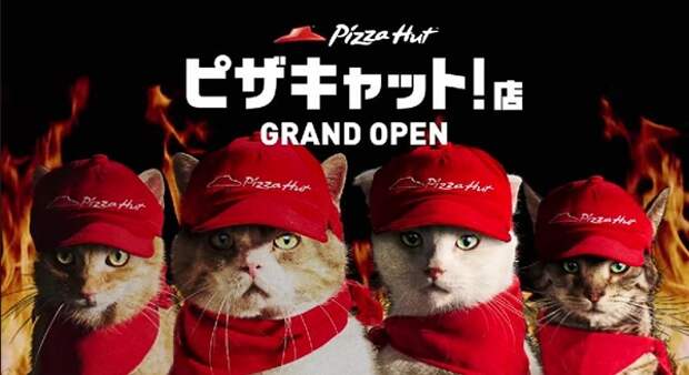 В Японии Pizza Hut переименовали в Pizza Cat
