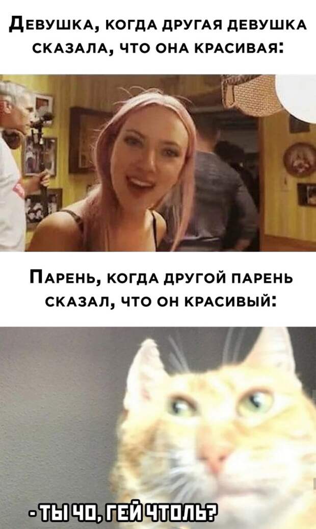 Смешные картинки 6 января 2021