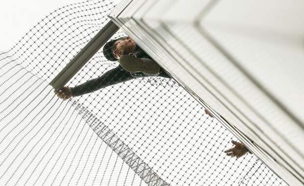 Особенности приграничной езды: Белгород накрывает «дороги жизни» антидроновыми сетками