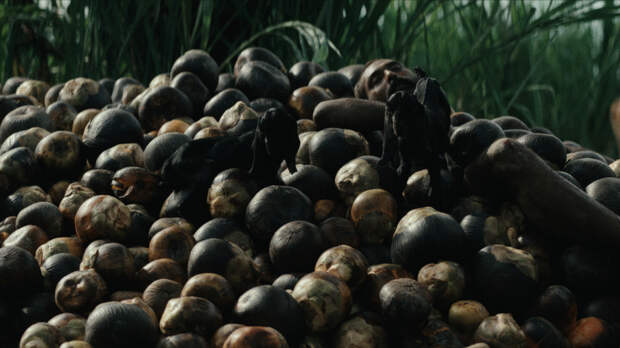 На Роттердамском кинофестивале: рэп из Анголы и экзотика Бангладеш