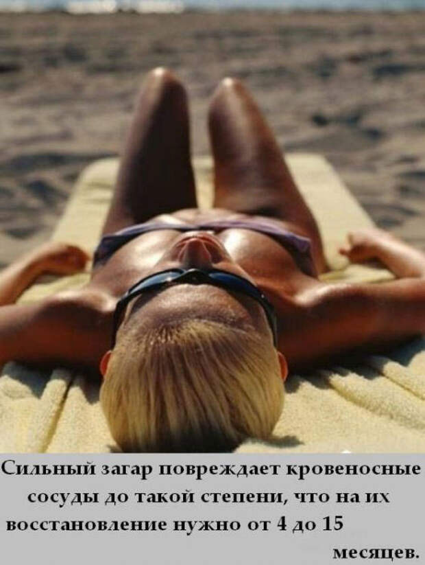 Интересности обо всем