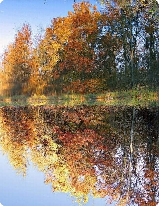 Невероятные отражения в воде (60 фото)