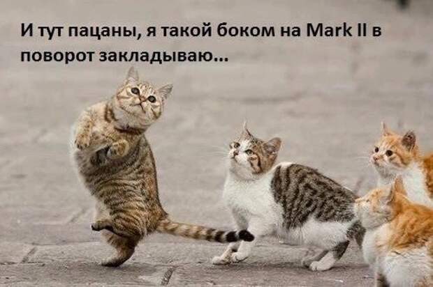 Подборка автоприколов