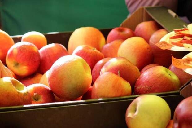 В центре Тамбова ограничат движение транспорта в связи с проведением Большой новогодней ярмарки