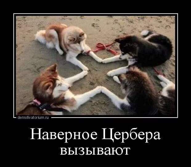 Демотиваторы про коронавирус с надписями. Подборка chert-poberi-dem-koronavirus-chert-poberi-dem-koronavirus-23040416012021-16 картинка chert-poberi-dem-koronavirus-23040416012021-16