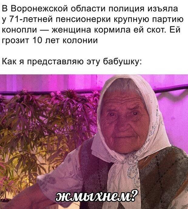 Смешные и познавательные картинки