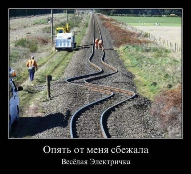 Новая подборка позитивных  демотиваторов 