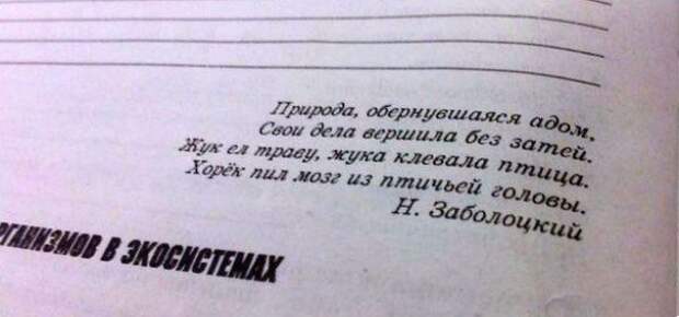 Идиотские учебники или не решаемые задания образование, книги, юмор, картинки