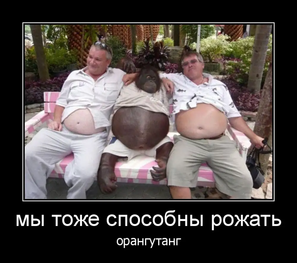 Анекдоты Про Большую Грудь