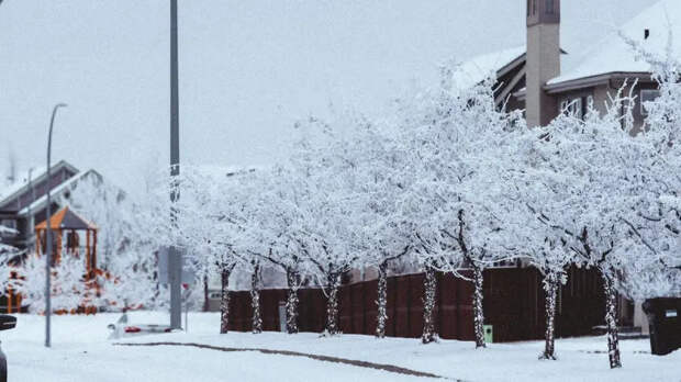 «Трудные решения»: граждане США отключают электричество и тепло в домах в морозы