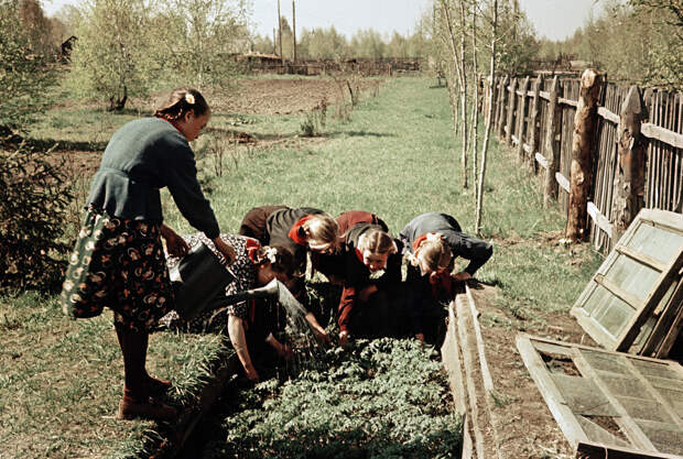 Нижне Чемская школа. Юннаты