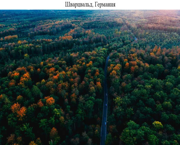 Блог - 19 волшебных лесов со всего мира, которые хотя бы раз нужно увидеть своими глазами 19 волшебных лесов со всего мира, которые хотя бы раз нужно увидеть своими глазами