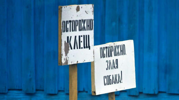 Мгновенная кома. Врач-невролог — о том, почему укус клеща может стоить жизни