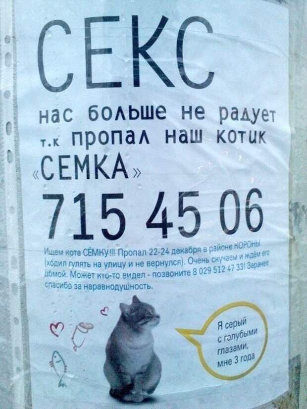 Народный креатив Народный креатив прикол, факты, юмор