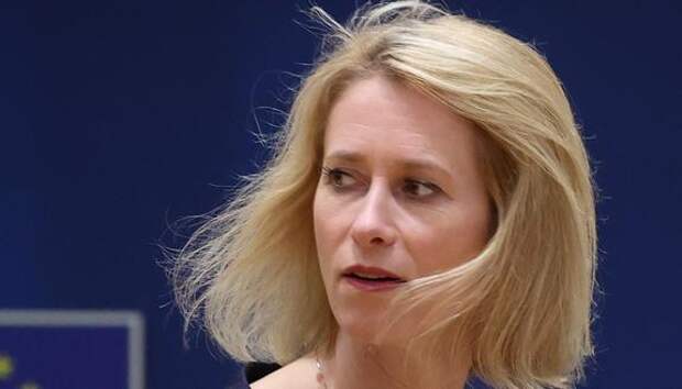 Политик Мема: Каллас антидипломатична, что работает против интересов Евросоюза