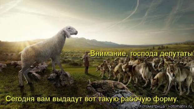 Котоматрицы(картинки с надписями)