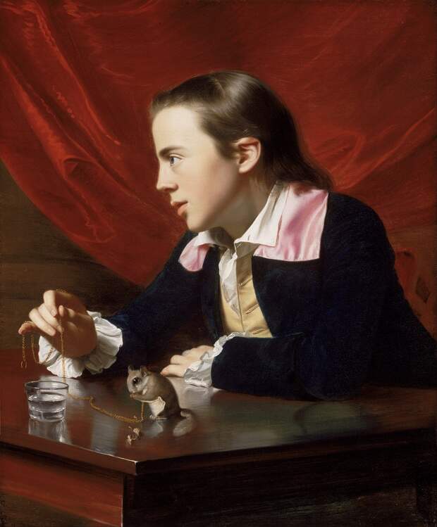 John_Singleton_Copley_-_A_Boy_with_a_Flying_Squirrel_(Henry_Pelham)_-_Google_Art_Project.jpg John_Singleton_Copley_-_A_Boy_with_a_Flying_Squirrel_(Henry_Pelham)_-_Google_Art_Project.jpg