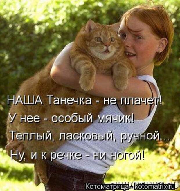 Котоматрицы(картинки с надписями)