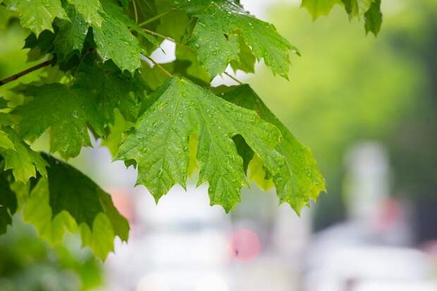 Тулякам напомнили о мерах безопасности в майские праздники