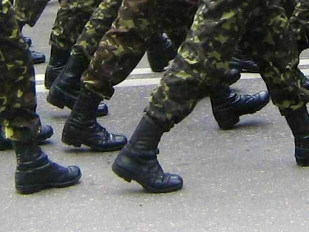 Организованный резерв появится в Вооруженных силах РФ в 2015 году