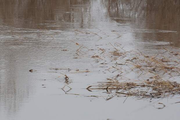 В Тульской области закрыли три моста из-за паводка