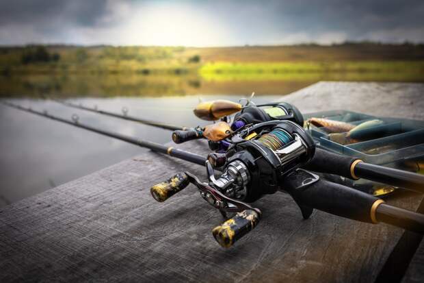 Мужчина и его дочь поймали крупную рыбу и побили державшийся 16 лет рекорд