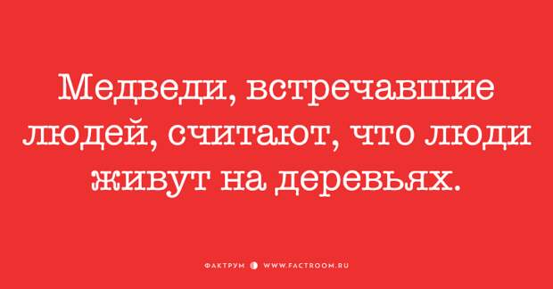 Горячая дюжина свежайших смешных анекдотов!