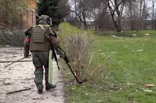 Сапер: ВСУ маскируют самодельные мины под кукурузу в Белгородской области