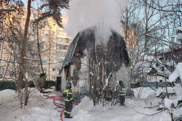 МЧС России: в Подмосковье кот и извещатель спасли многодетную семью от пожара
