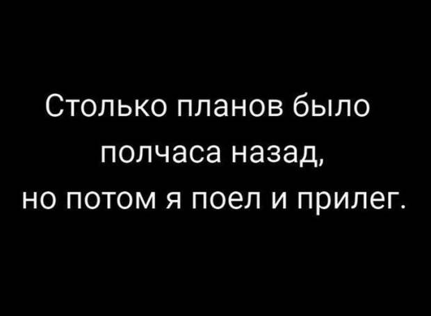 Члены Лиги лени и их очередной мастер-класс