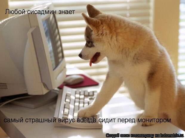 Любой сисадмин знает самый страшный вирус всегда сидит перед монитором