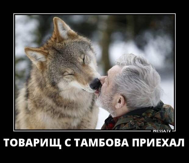 Новые смешные и забавные демотиваторы (46 фото) Новые смешные и забавные демотиваторы (46 фото)