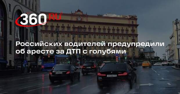 Автоюрист Воропаев: за сбитого голубя водителя могут арестовать и лишить прав