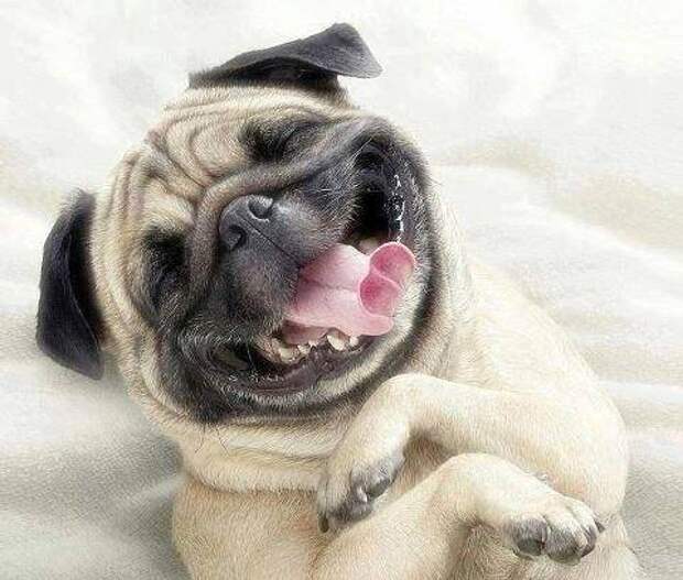 Это больше, чем просто фотография