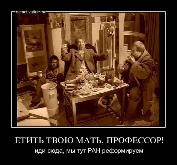 Немного новых демотиваторов