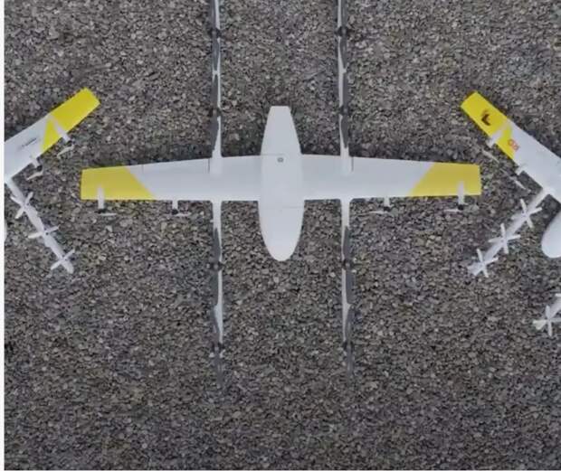 Wing.jpg Wing.jpg