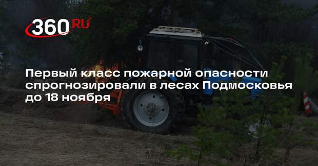 Первый класс пожарной опасности спрогнозировали в лесах Подмосковья до 18 ноября