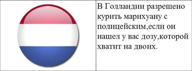 Закон всегда прав - даже если это маразм Закон всегда прав - даже если это маразм