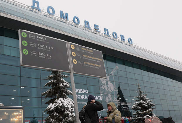 Новый владелец Домодедово раскрыл подробности его покупки