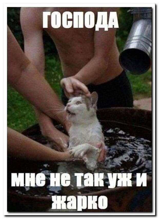 Самые смешные свежие картинки с надписями (понедельник)