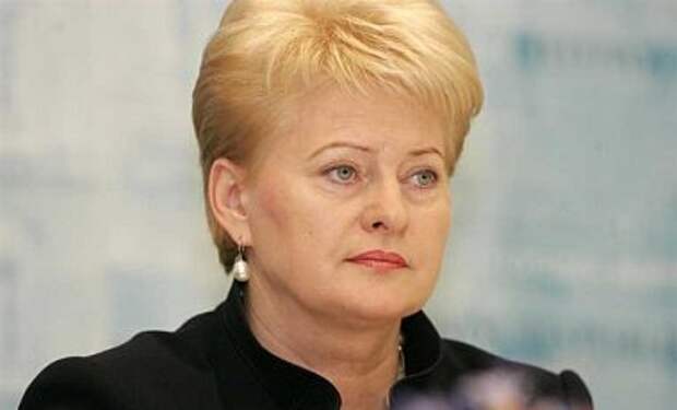 Президент Литвы: Россия ведет войну против всей Европы
